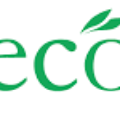 Buy Vikas Ecotech Short Term Target 7.50