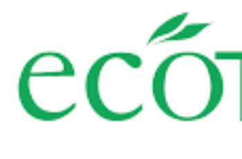 Buy Vikas Ecotech Short Term Target 7.50