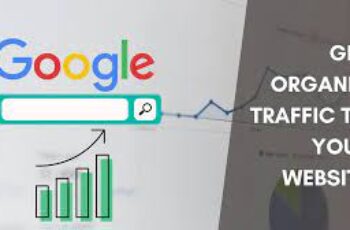 Google Search Engine Organic Traffic Method