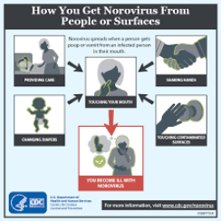 How Does Norovirus Spread